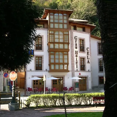 Hotel Gran Rural Cela