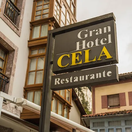 Hotel Gran Rural Cela
