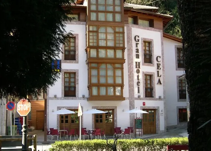 Hotel Gran Rural Cela