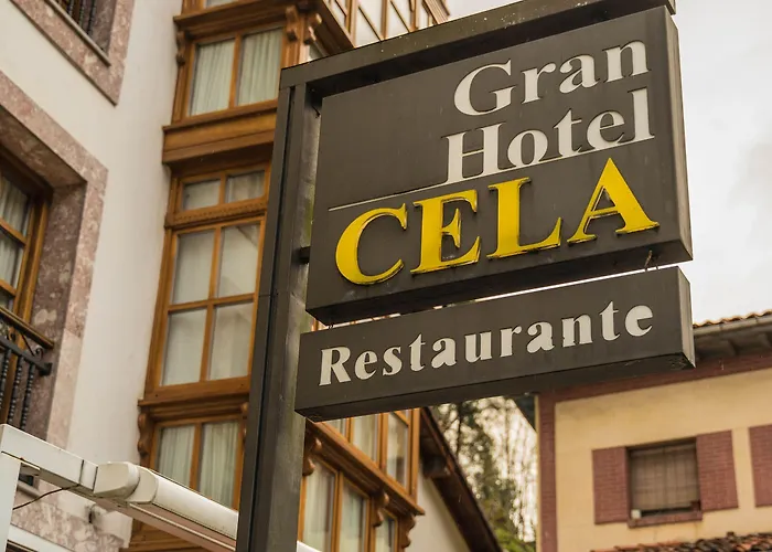 Hotel Gran Rural Cela